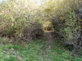 Click to see 10.jpg