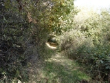 Click to see 12.jpg