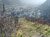Click to see 12290087.JPG