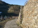 Click to see 12290088.JPG