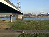 Click to see 01140016.JPG
