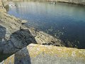 IMG_4444