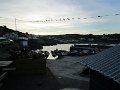 IMG_4483