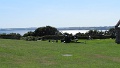 IMG_1336