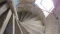 IMG_1341