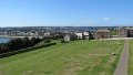 IMG_1343