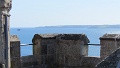 IMG_1349