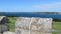 IMG_1351
