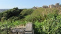 IMG_1427
