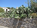 IMG_0448
