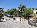 IMG_0449