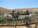 IMG_0453