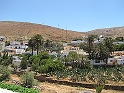 IMG_0454