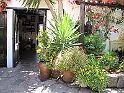 IMG_0455