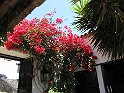 IMG_0457
