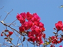 IMG_0470
