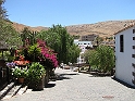 IMG_0489