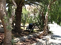 IMG_0491