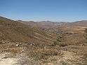IMG_0516