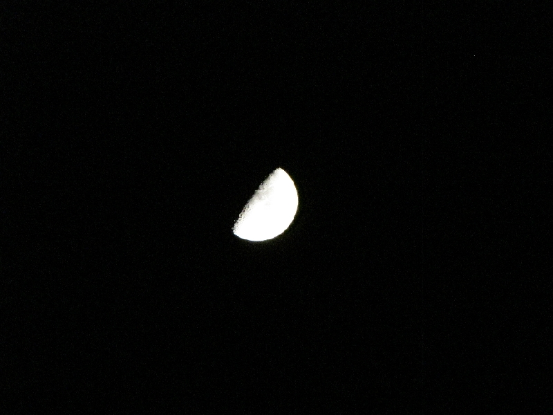 IMG_0443.JPG