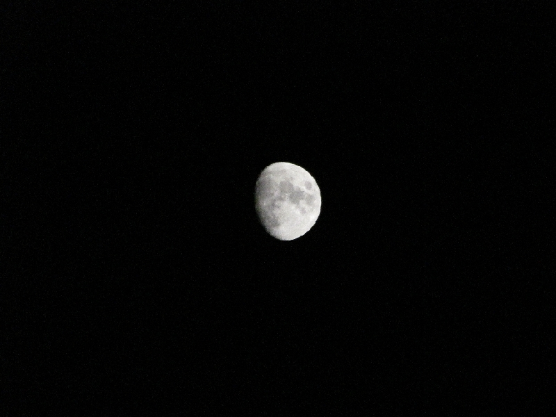 IMG_0661.JPG