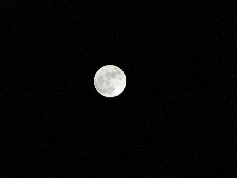 IMG_0894.JPG