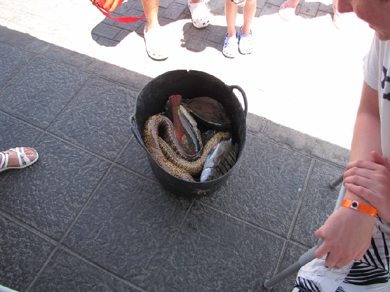 IMG_0980.JPG