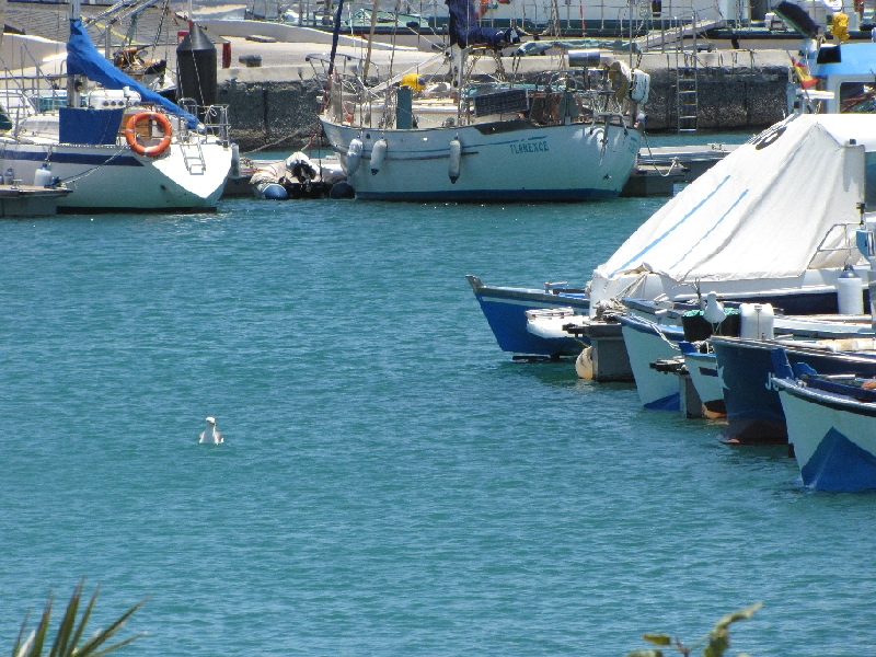 IMG_1311.JPG