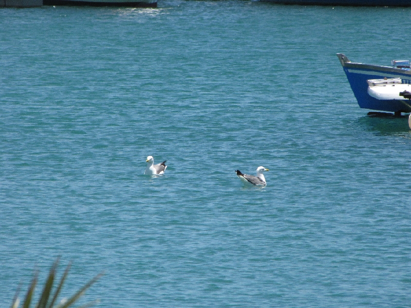 IMG_1313.JPG