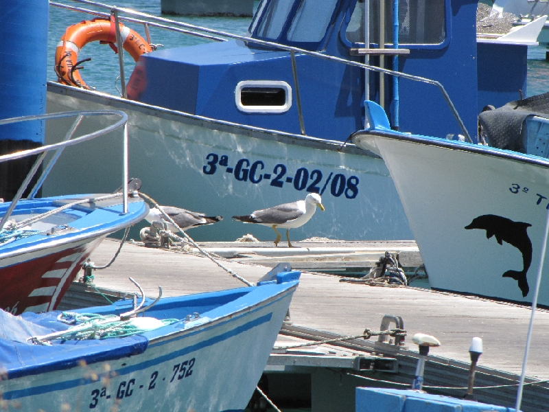 IMG_1336.JPG