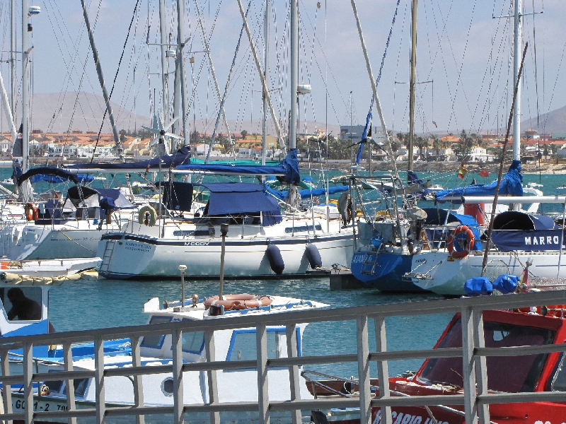 IMG_1340.JPG