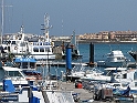 IMG_0554