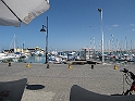 IMG_0557