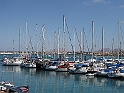 IMG_0565