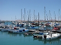 IMG_0959