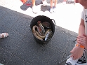 IMG_0980