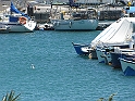 IMG_1311