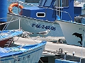 IMG_1336