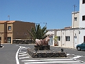 IMG_1235