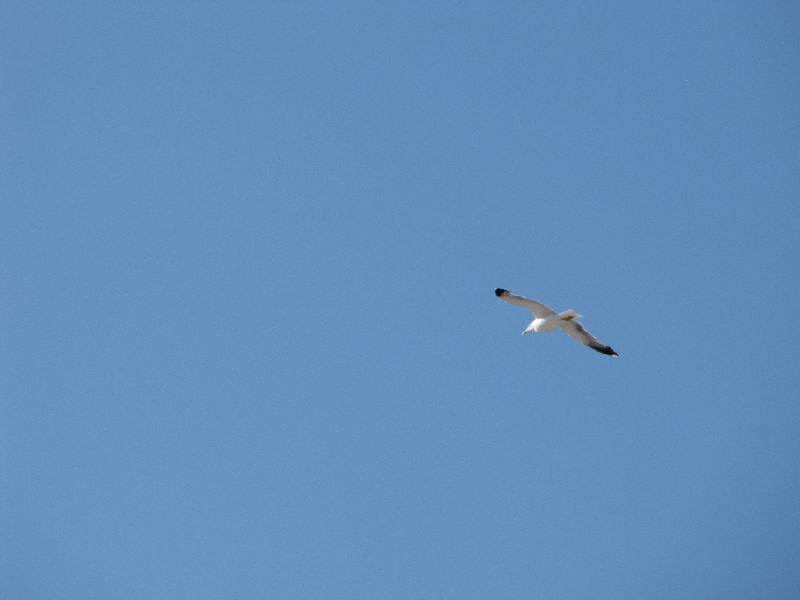 IMG_0889.JPG