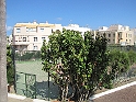 IMG_0989