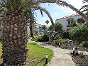 IMG_0995