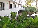 IMG_1003