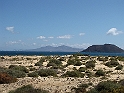 IMG_0775