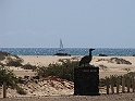 IMG_0778