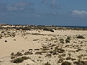 IMG_0797