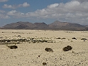 IMG_0801