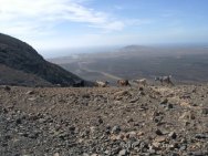 Looking back toward Playa Blanca from on top of the local volcano, during El Suicido Jeep Trip