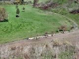 Click to see cal06.jpg