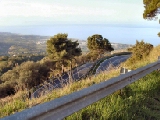 Click to see cal07.jpg